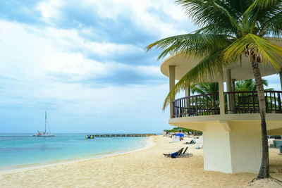 Palm trees on beach against sky