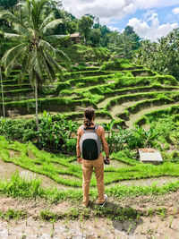 Rear view of man standing on land against palm trees