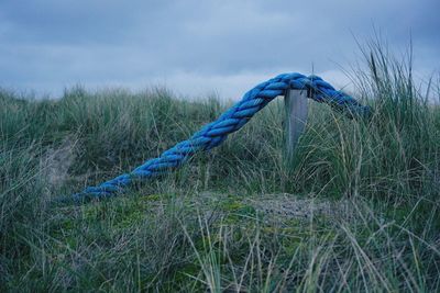 Close-up of rope on field