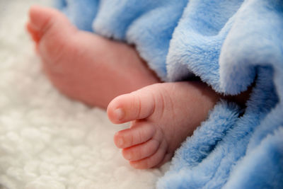 Close-up of baby hand