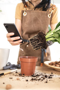 Closeup of female gardener hands using smartphone repotting spathiphyllum plant