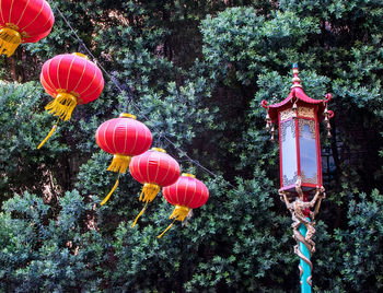 Low angle view of lanterns hanging on tree