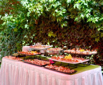 Close-up of food on table