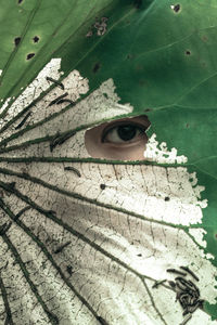 Close-up of human representation of leaves