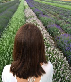 Rear view of woman standing on flowering field