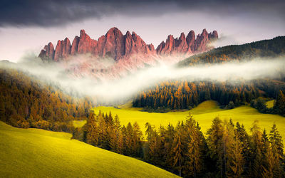 Panoramic view of land and trees against sky