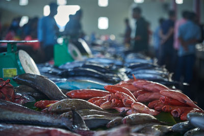 Close-up of fish for sale in market