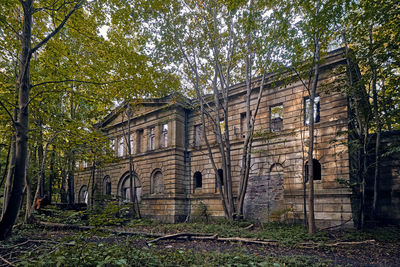 Low angle view of old building in forest