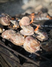 Close-up of crab on barbecue grill