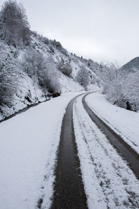 Road amidst snow covered plants against sky