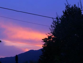 Silhouette of trees at sunset