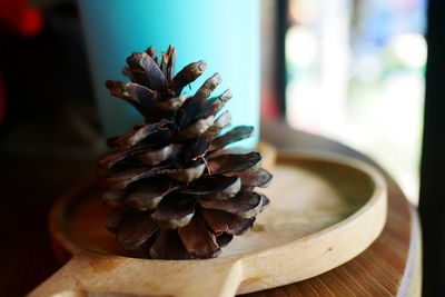 Close-up of pine cone on table