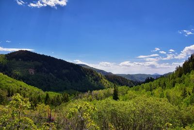 nature