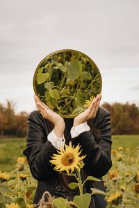 Close-up of person holding sunflower on field