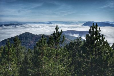 Scenic view of mountains against sky varda