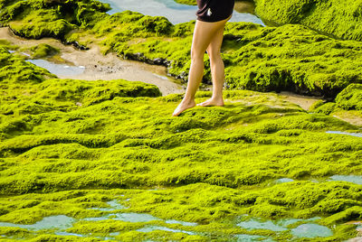 Low section of man standing on riverbank