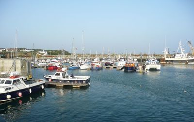 Boats in harbor