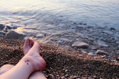 Low section of person on beach