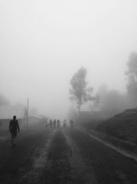 Country road in foggy weather
