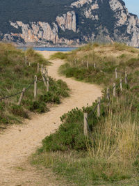 View of footpath passing through landscape