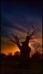 Silhouette of trees on landscape at sunset