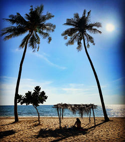 Silhouette palm trees on beach against sky