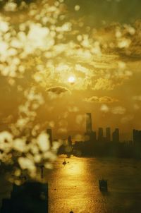 Reflection of trees in water