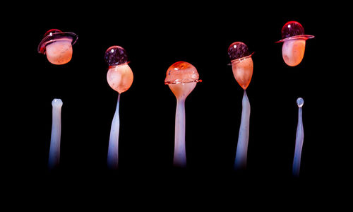 Close-up of splashing liquids over black background