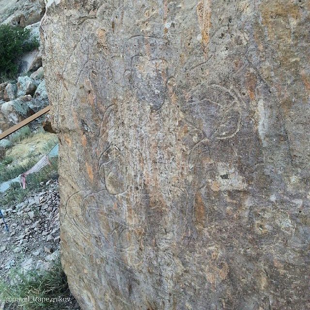 textured, rough, close-up, weathered, wood - material, full frame, backgrounds, old, pattern, tree trunk, high angle view, outdoors, day, damaged, no people, wall - building feature, detail, cracked, nature, wood