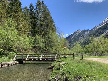 Scenic view of trees and mountains against sky