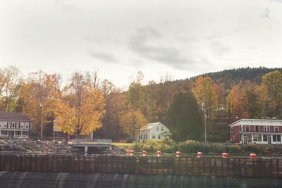 View of trees in park during autumn