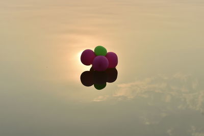 Low angle view of balloons against sky during sunset