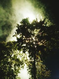 Low angle view of trees against cloudy sky