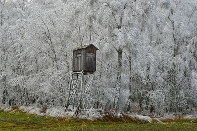 House on field by trees in forest