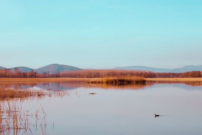 Scenic view of lake against clear sky