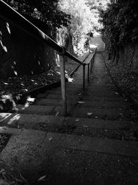 Footbridge amidst trees