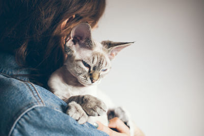 Close-up of cat relaxing at home