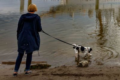 Rear view of dog standing on beach