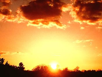 Low angle view of silhouette trees against orange sky