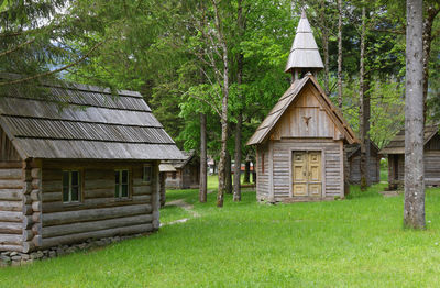 House on field