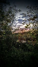 Scenic view of field against cloudy sky