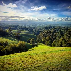 Scenic view of landscape against sky