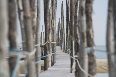 Row of metal fence by footpath