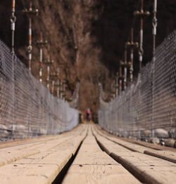 Surface level of railroad tracks against trees