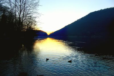 Swans swimming in lake against sky during sunset