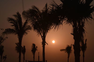 Silhouette palm trees against sky during sunset