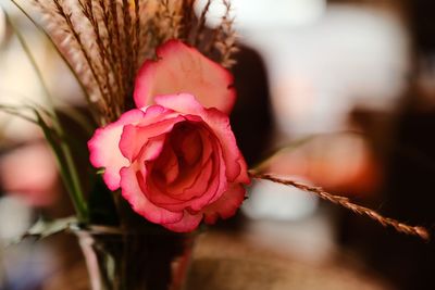 Close-up of rose bouquet