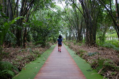 Rear view of man walking on footpath amidst trees in forest