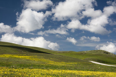 Scenic view of field against sky