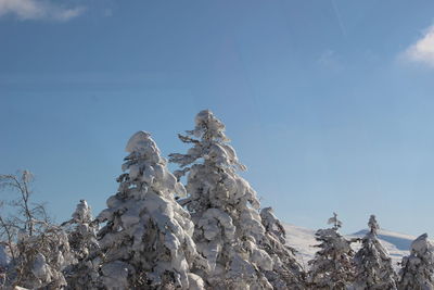 Low angle view of snowcapped mountain against sky